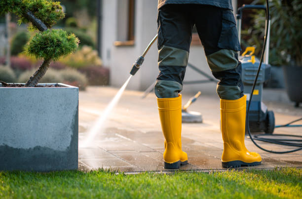 Best Affordable Pressure Washing  in Beech Island, SC